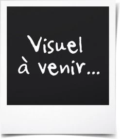 Intex Prime Comfort - Luchtbed - 1-Persoons - 99x191x51 Cm (BxLxH) - Grijs - Met Ingebouwde Motorpomp 19 Intex Prime Comfort - Luchtbed - 1-Persoons - 99x191x51 Cm (BxLxH) - Grijs - Met Ingebouwde Motorpomp -Kampeerclub 1031x1200 5