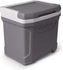 Igloo Profile II 16 - Kleine Koelbox - 15 Liter - Grijs -Kampeerclub 1074x1200 2
