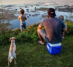 Coleman 16QT Performance Tricolor Koelbox - 15L - Blauw/Grijs -Kampeerclub 1200x1094 2