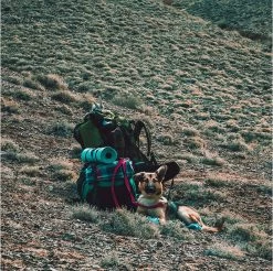 LOWLAND OUTDOOR® Donzen Slaapzak - Super Compact Blanket - 210 X 80 Cm - 590gr +8°C 21 LOWLAND OUTDOOR® Donzen Slaapzak - Super Compact Blanket - 210 X 80 Cm - 590gr +8°C -Kampeerclub 1200x1196 16