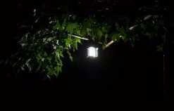 LED Camping Lamp 2 In 1 Hoge Kwaliteit - Zaklamp En Campinglamp - Inclusief AA Batterijen 17 LED Camping Lamp 2 In 1 Hoge Kwaliteit - Zaklamp En Campinglamp - Inclusief AA Batterijen -Kampeerclub 1200x768 3