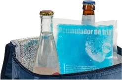 Arte R Koelelementen/icepacks - Herbruikbaar - 15 X 13 X 2 Cm -Kampeerclub 1200x789