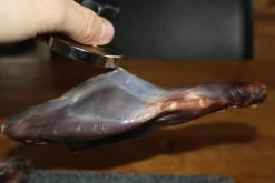 【JACHTMAGNEET / HAGELMAGNEET 】– Jacht Accessoires 2020 – Hagel Verwijderaar – Jagers Cadeau - Wild Magneet -Kampeerclub 1200x800 176