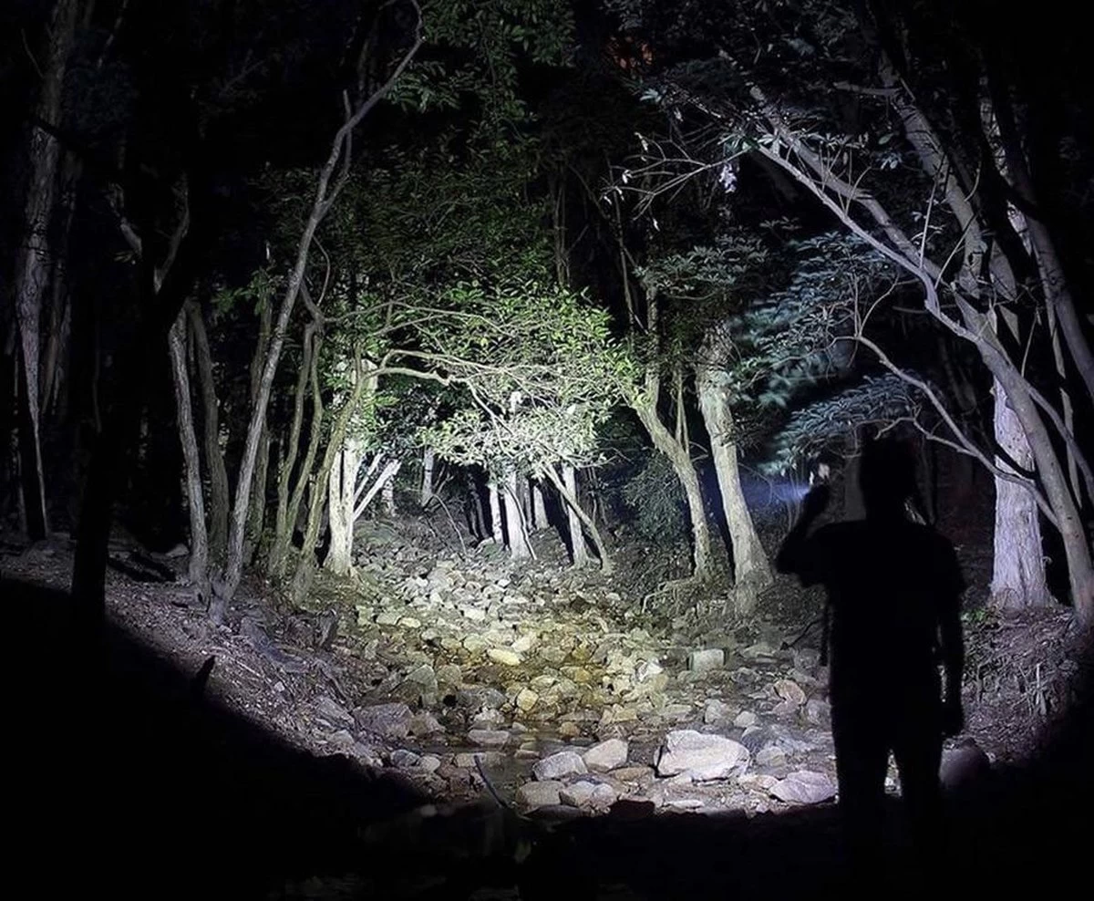 FlinQ Militaire Zaklamp - LED Zaklamp - Inclusief 3 Batterijen - Inzoombaar - 2000 Lumen 3 FlinQ Militaire Zaklamp - LED Zaklamp - Inclusief 3 Batterijen - Inzoombaar - 2000 Lumen - Afbeelding 3