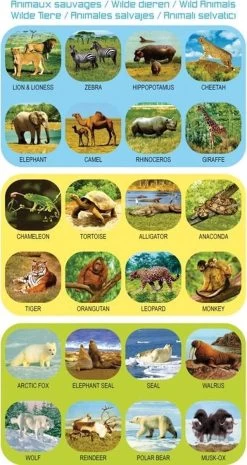 GEOKIDS: Projectiezaklamp/Wilde Dieren -Kampeerclub 637x1200 3