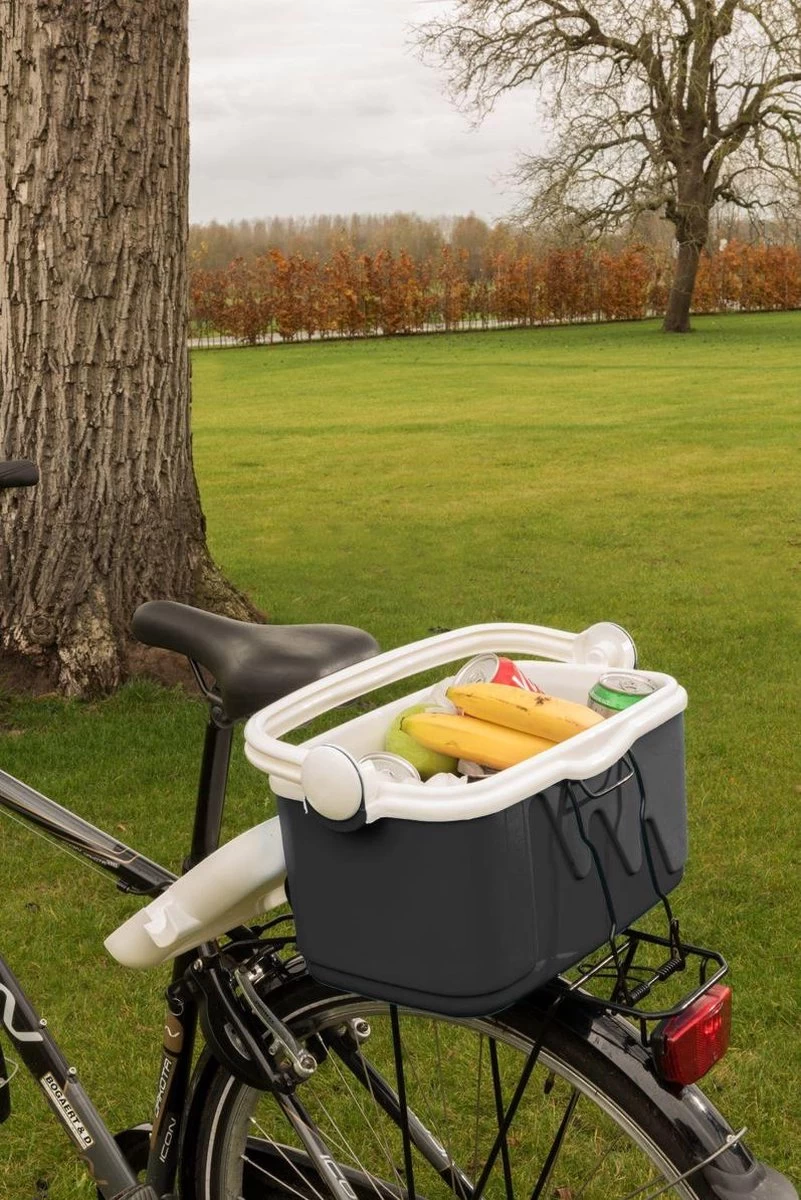 Curver Koelbox - 10L - Grijs 2 Curver Koelbox - 10L - Grijs - Afbeelding 2